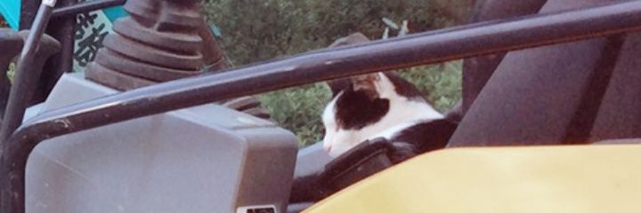 rikachuun's profile banner image