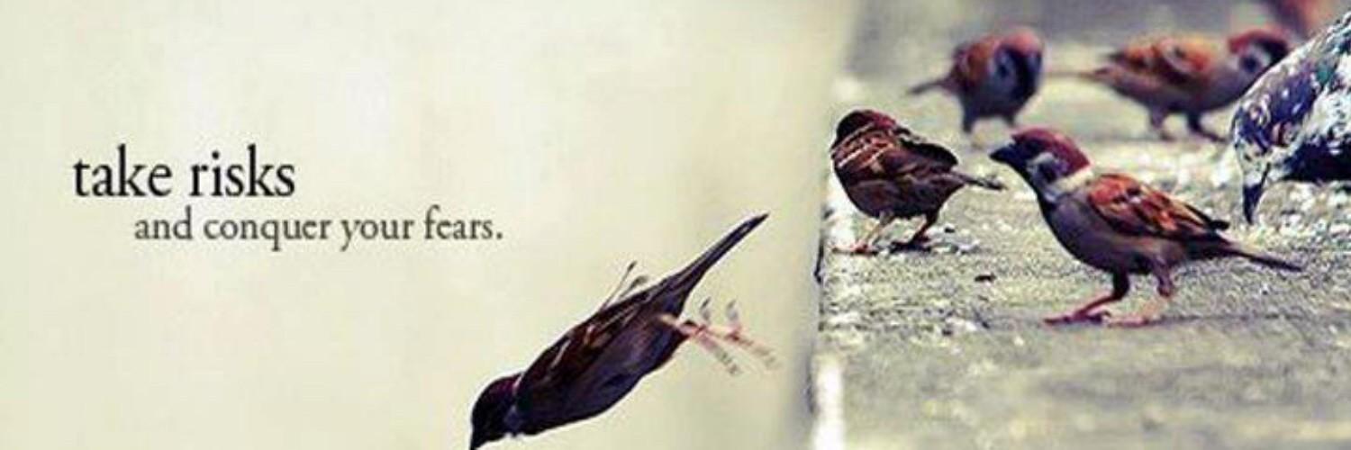 PiaTalli's profile banner image