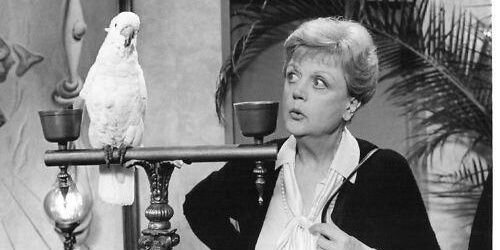 Leon 🍾🌈👏 banner