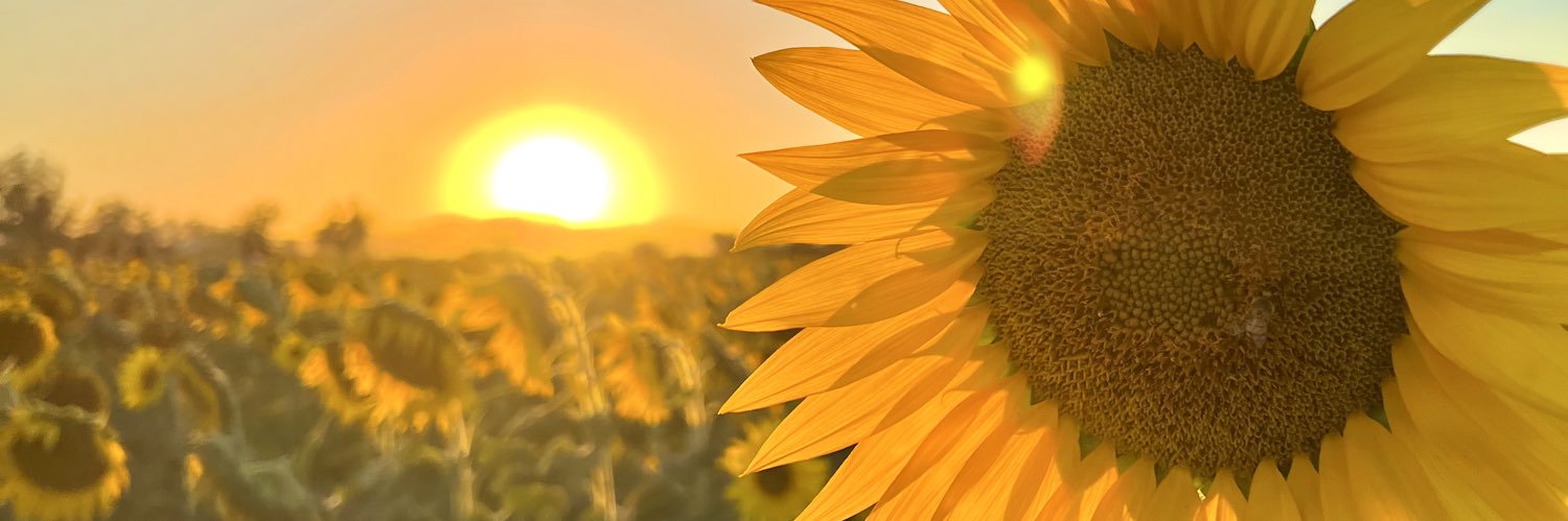 martHitagC's profile banner image