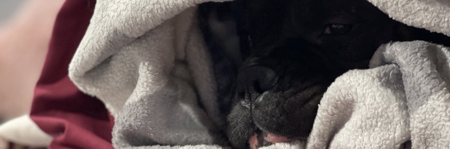 _lilcyn's profile banner image