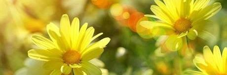 monykvida's profile banner image