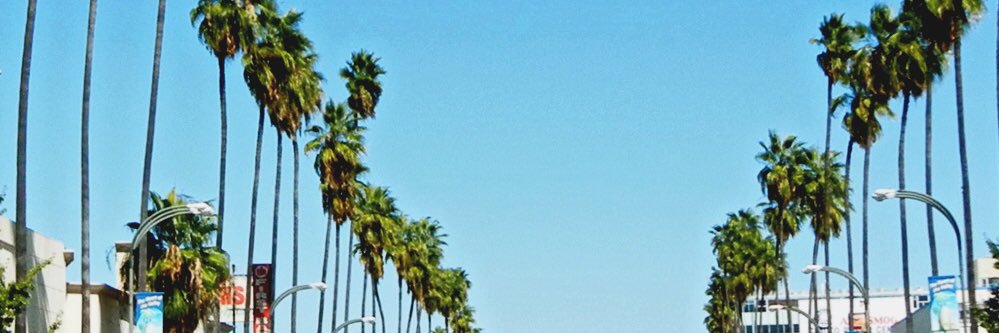 Wayala79's profile banner image