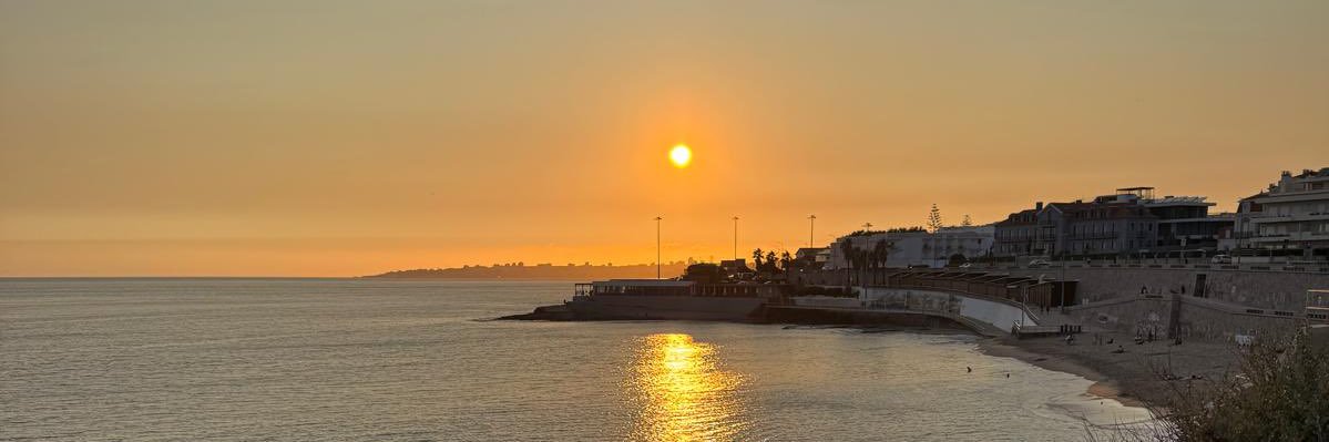 Cameron McConnachie banner