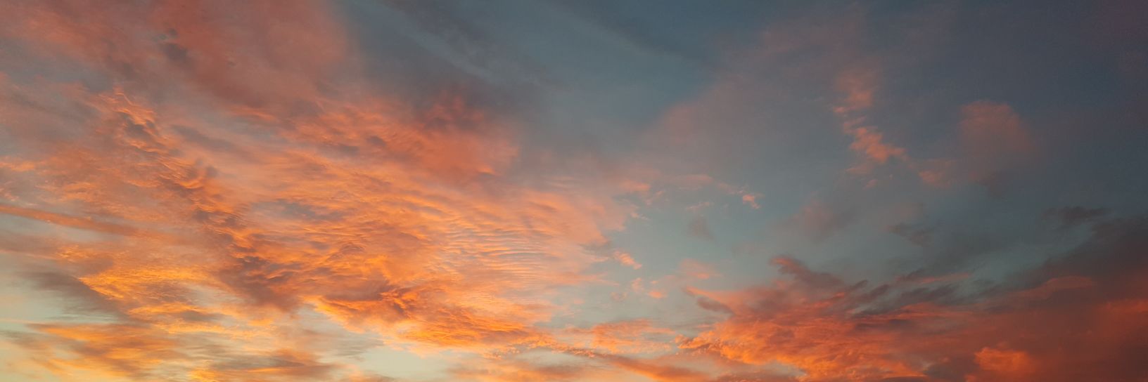 jbaum1105's profile banner image