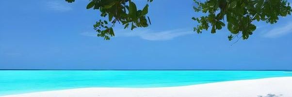 Fk857762's profile banner image