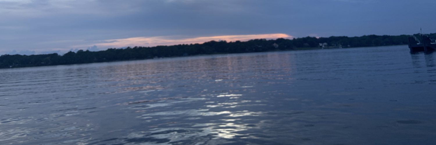 Amber Gaynor banner