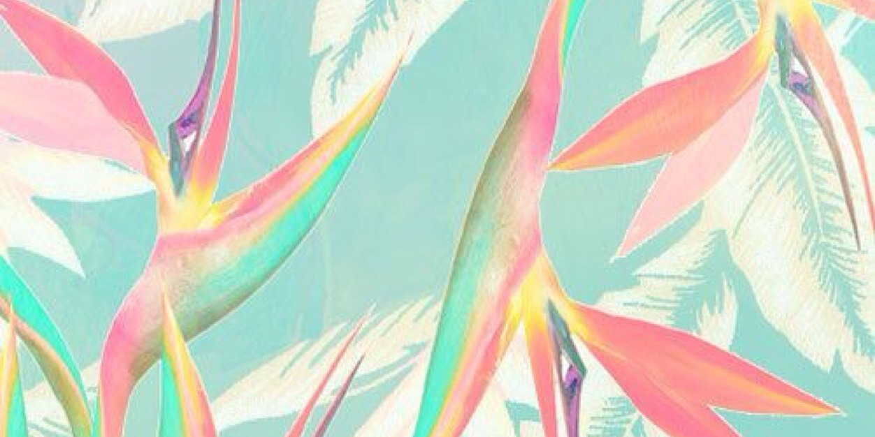 SamUrzua's profile banner image