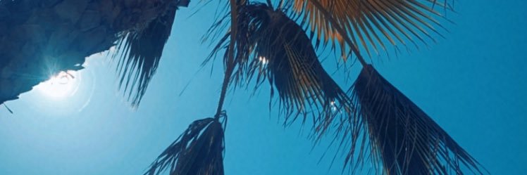 ReneciaLab's profile banner image