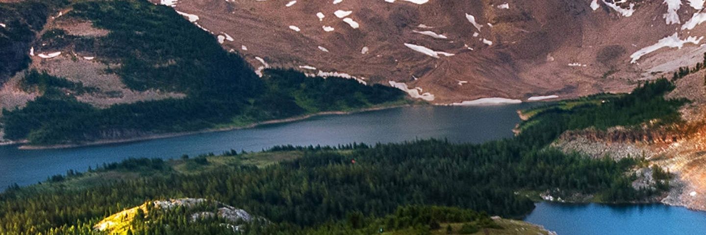 CryptoduckTwila banner