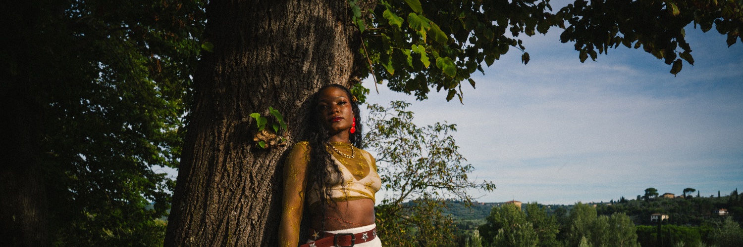 sade_awele's profile banner image