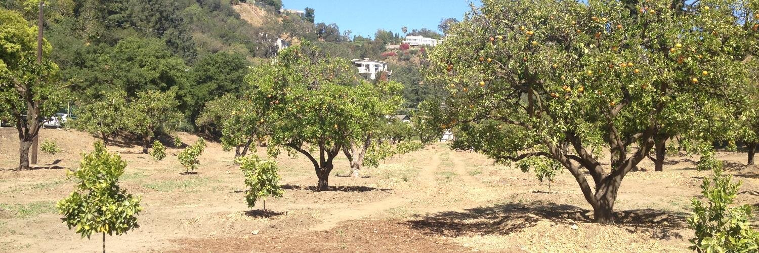 D Bohnett Foundation banner