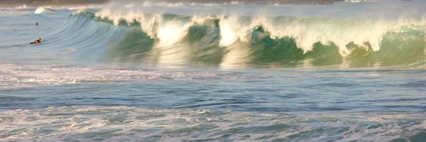 DebWaterBearer Profile Banner