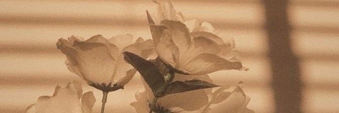 Charleigh Hagedorn banner