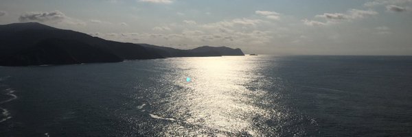 VicentMauri Profile Banner