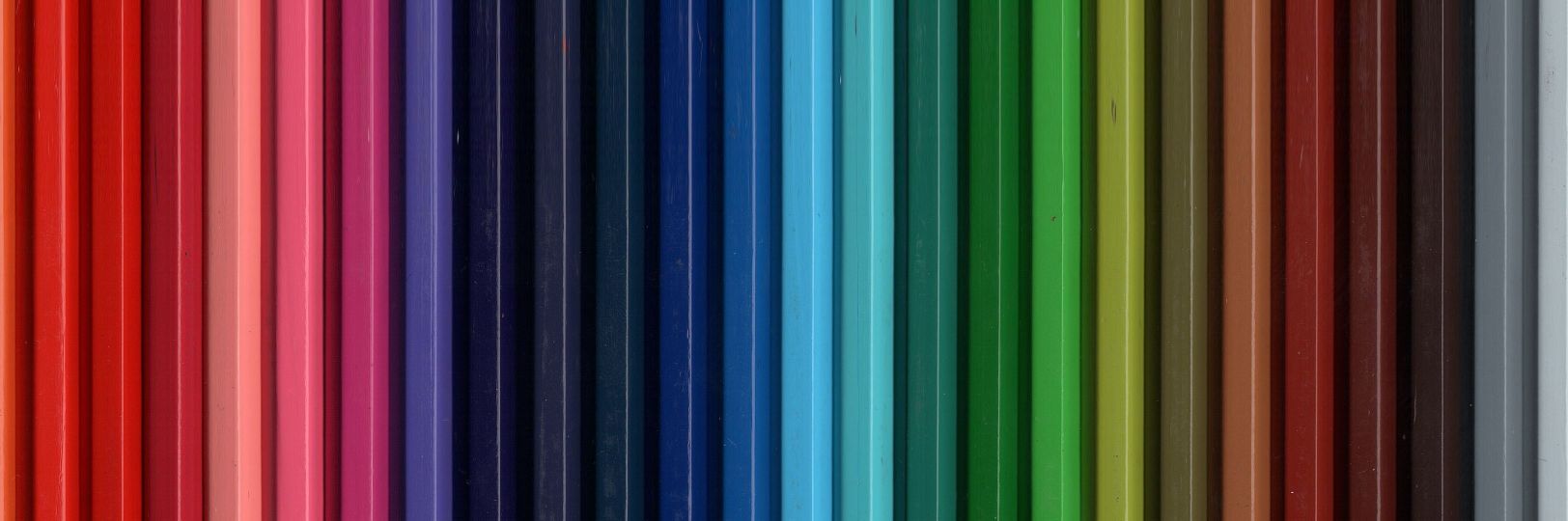 Alcalde Chinchulina banner