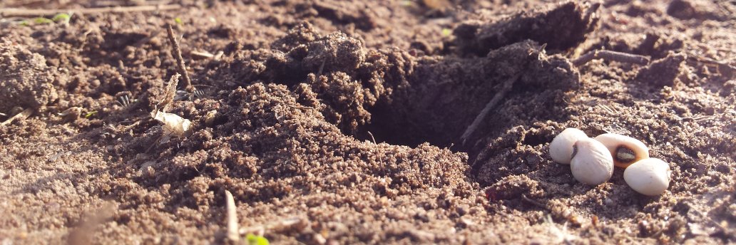 Zaid Álvarez banner