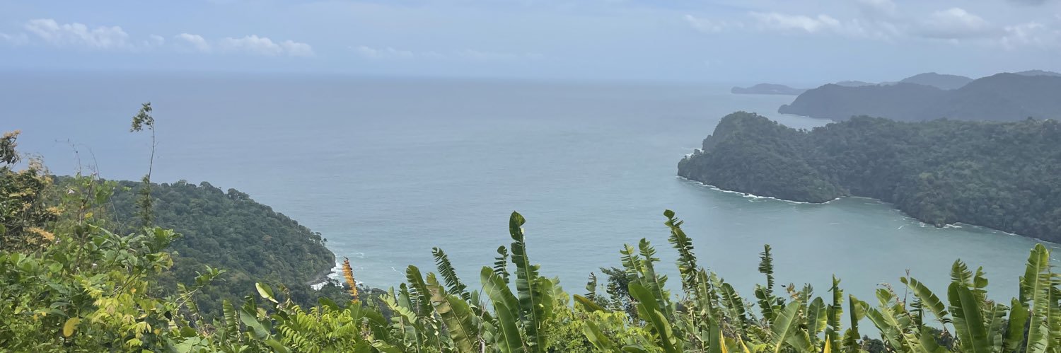 Unkythetrini's profile banner image