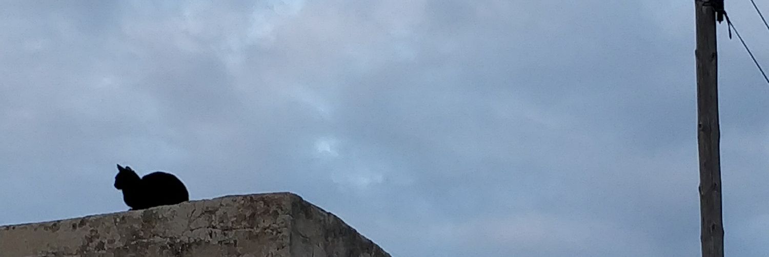 Seke7's profile banner image