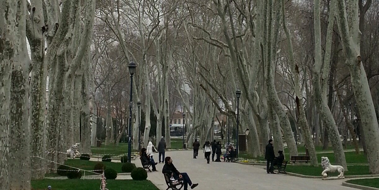 memelounge's profile banner image