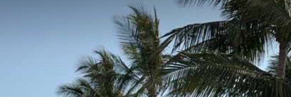 K_n2024 Profile Banner