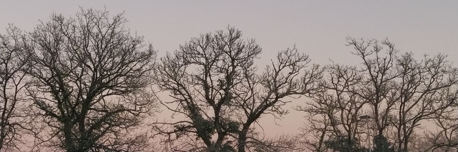 DieColumson's profile banner image