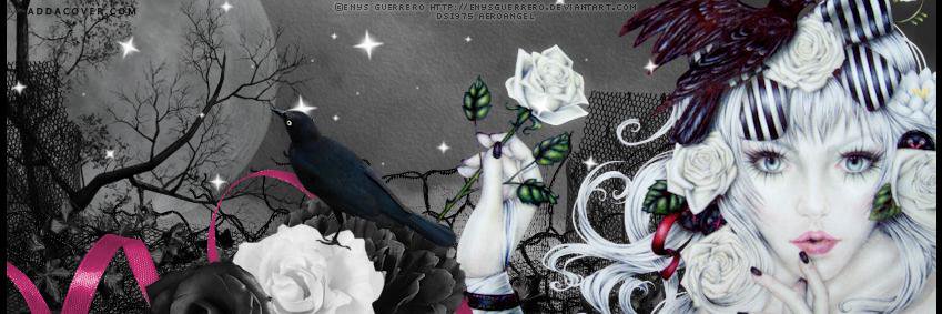 JewelRaven's profile banner image