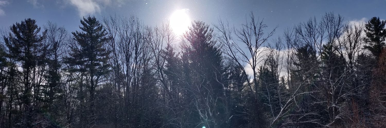 MaximuSVI's profile banner image