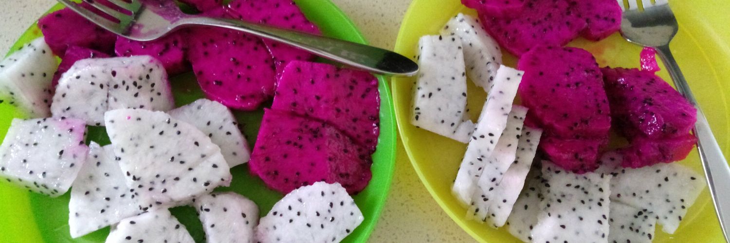 (Audrey) 宋アンナ 🇹🇼🦂 banner