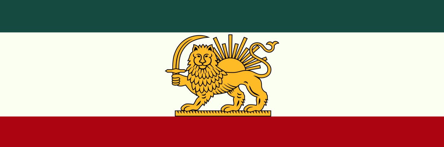 Amin Timany 🇮🇷 banner