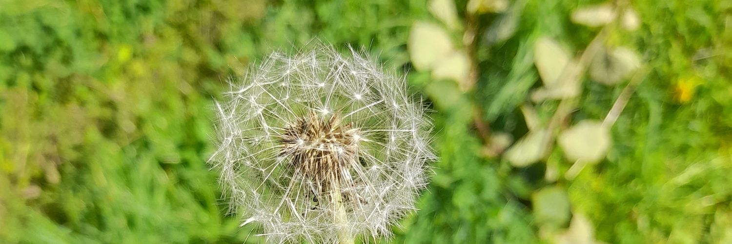 sridos's profile banner image
