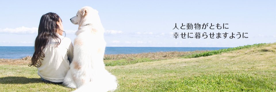 moeokazaki's profile banner image