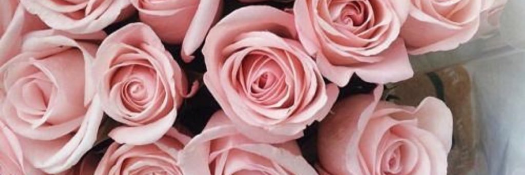 ni3maat's profile banner image