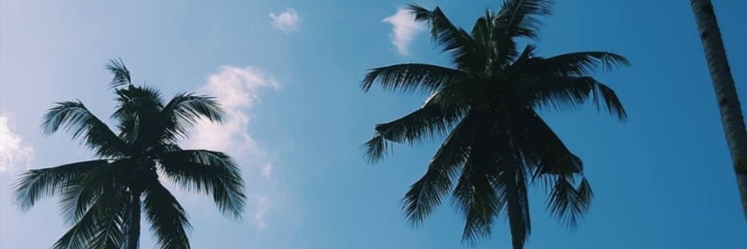 FabianGeorge's profile banner image