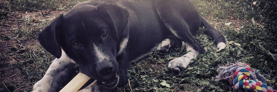 FAT | Chapter XLVII 📝 CORE VALUES 04/04/26 banner