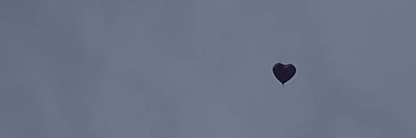 blueforchlo's profile banner image