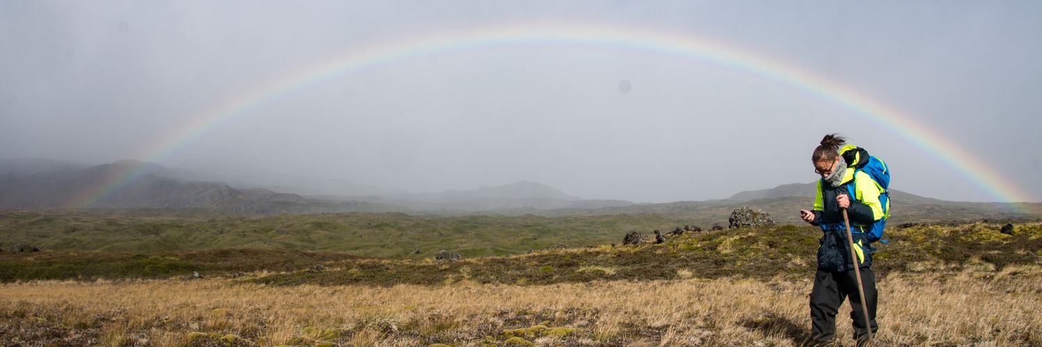 Daniela Monsanto banner