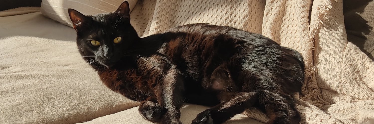 LazzarottoLara's profile banner image