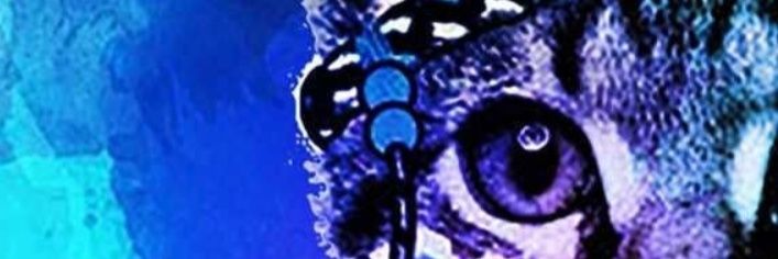 AlexandraSegu19's profile banner image