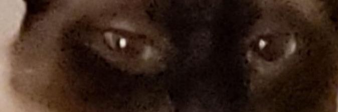nuraskye's profile banner image