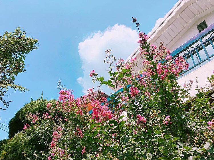 chorongxi's profile banner image
