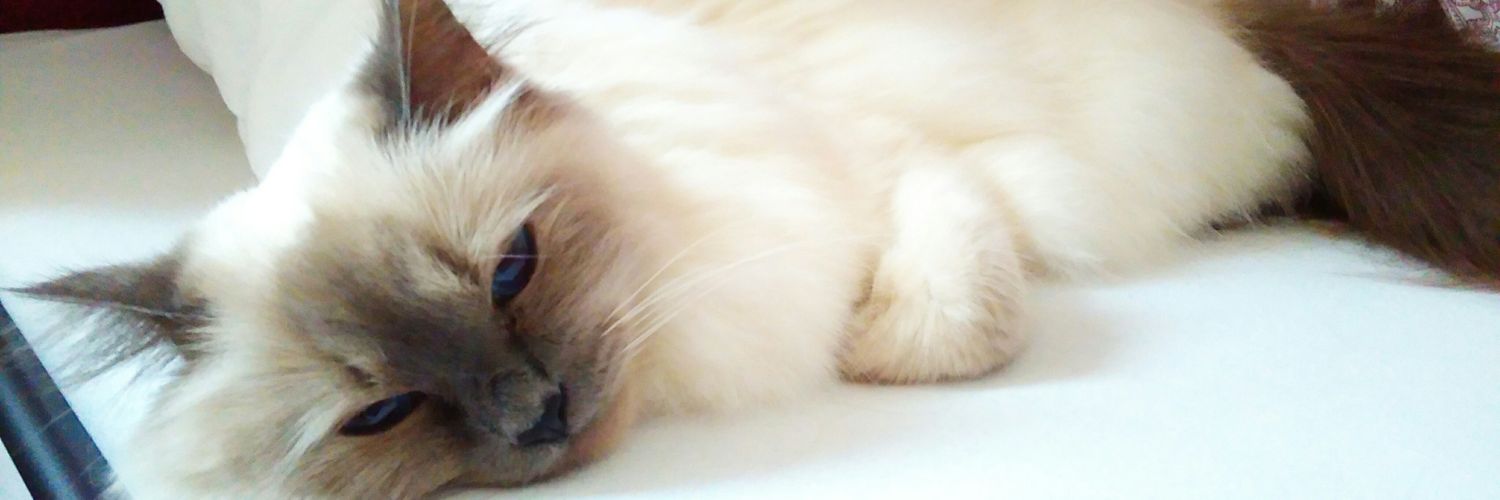 Deffsx's profile banner image