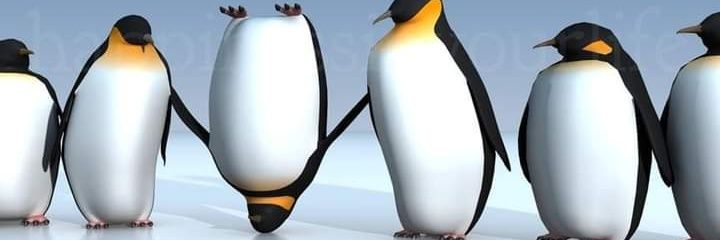 Manny Petty 🇺🇸💙🌊🌈🐶 banner