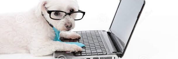 Dilo con perritos's banner