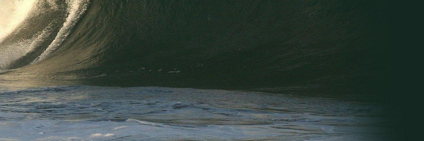 _FieldReport's profile banner image