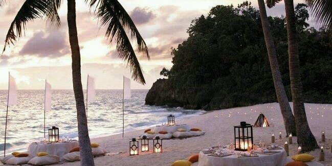 Anne P 🇺🇸 banner