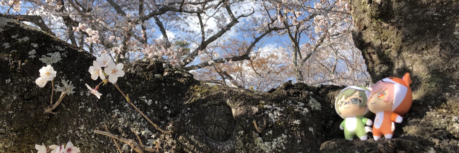 murumuru66's profile banner image