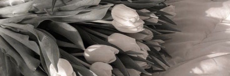 DoseofSamira's profile banner image