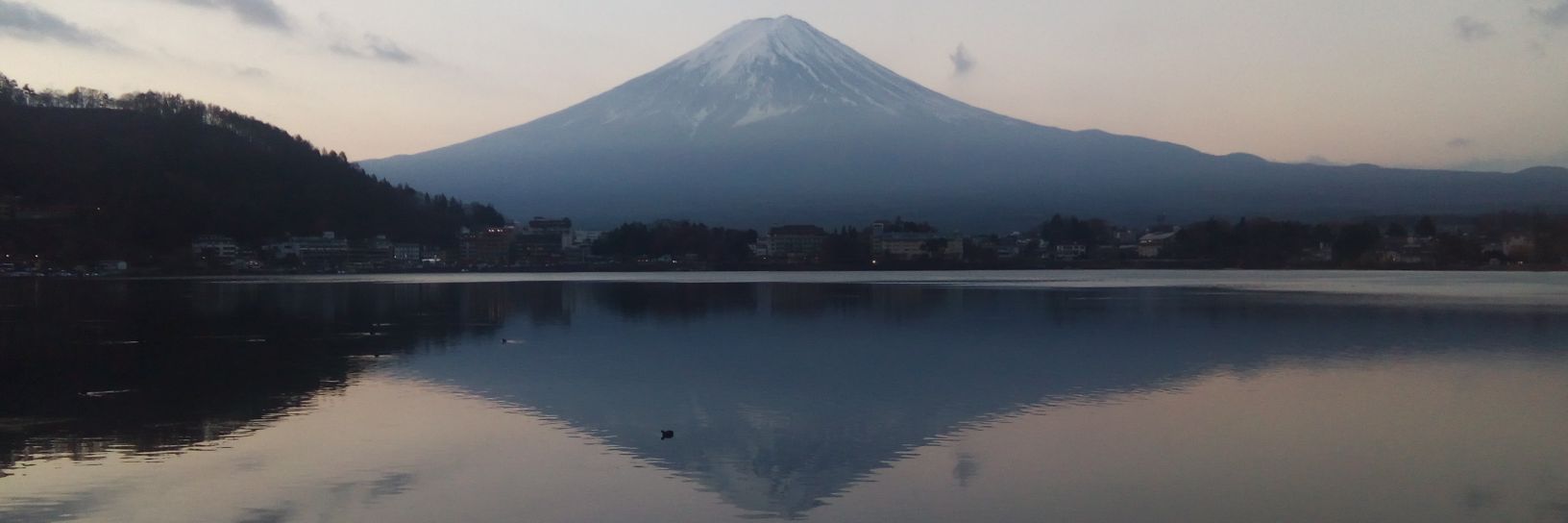 あややっこ banner