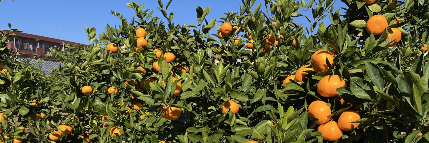 ぴょんきち banner